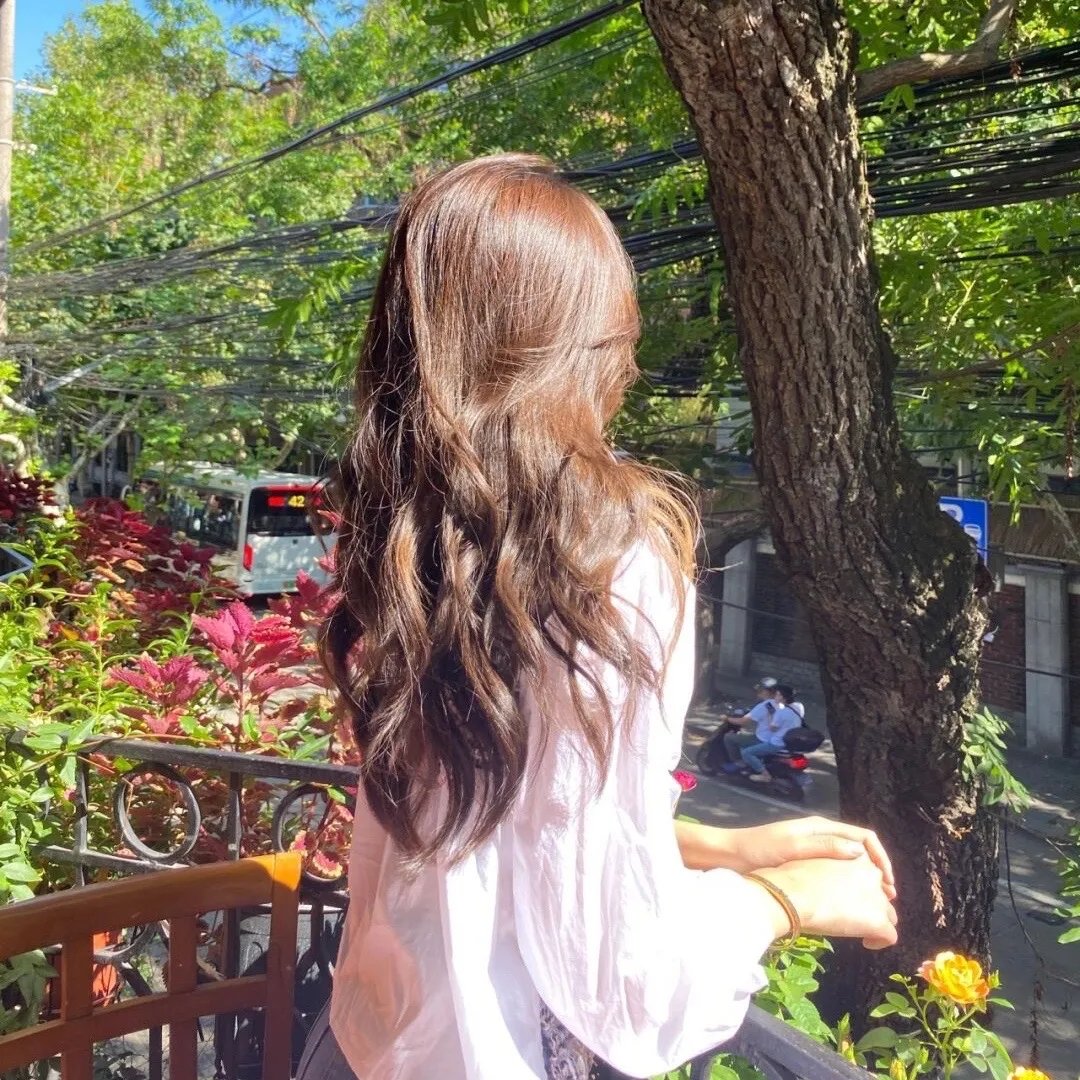 大明星丽莎