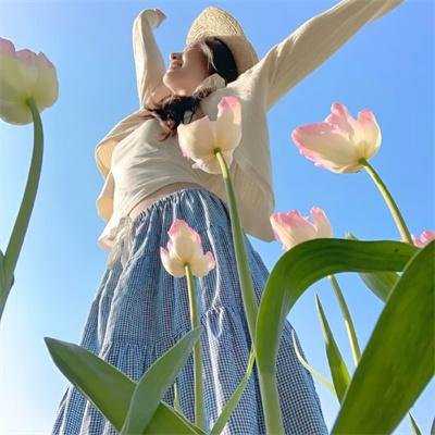 翼神传说